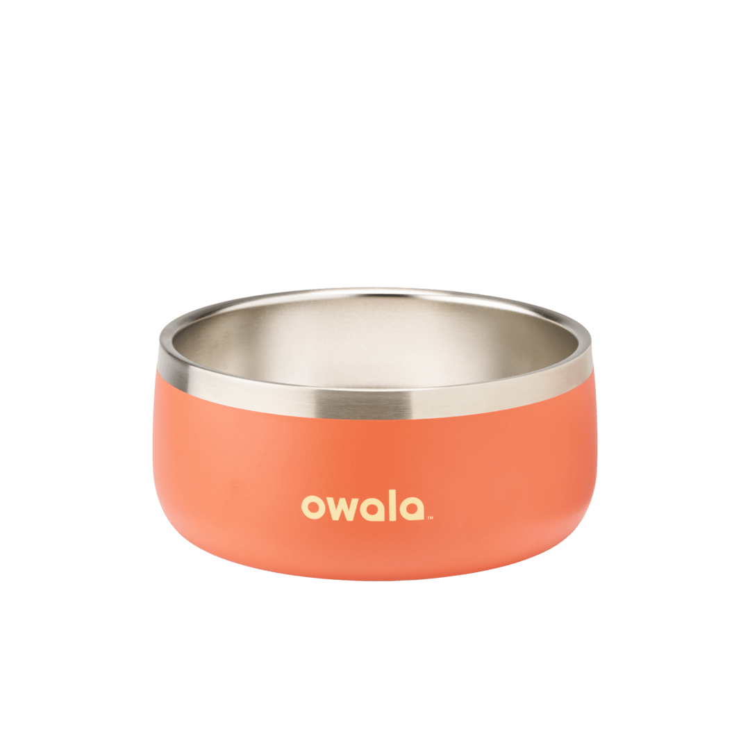 Pet Bowl [1M9Q]