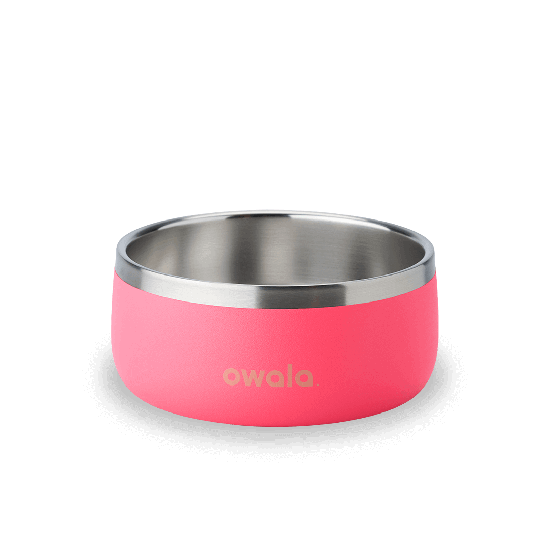 Pet Bowl [1M9Q]
