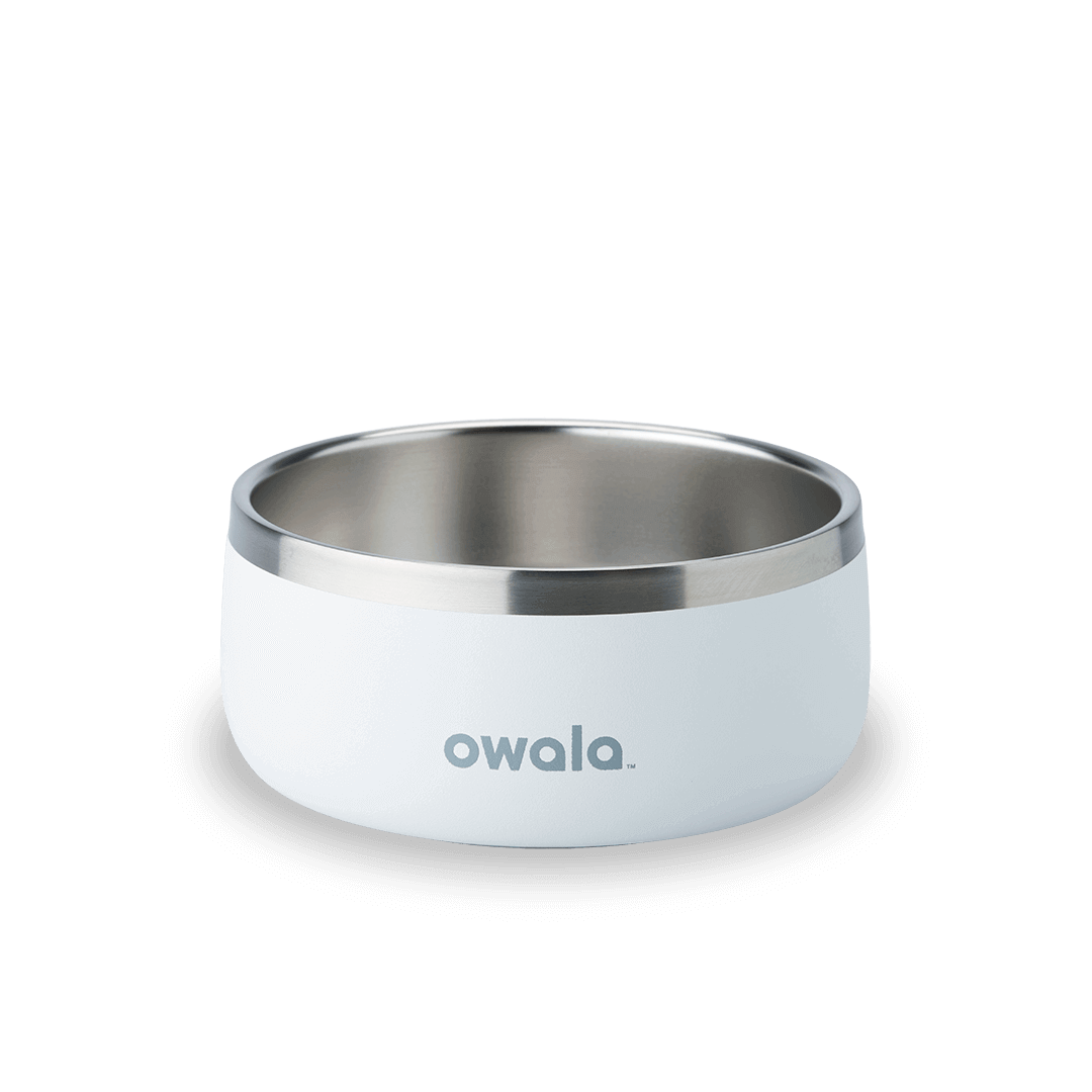 Pet Bowl [1M9Q]