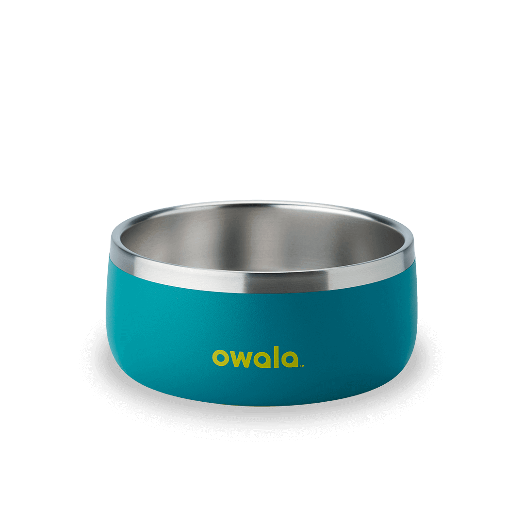 Pet Bowl [1M9Q]