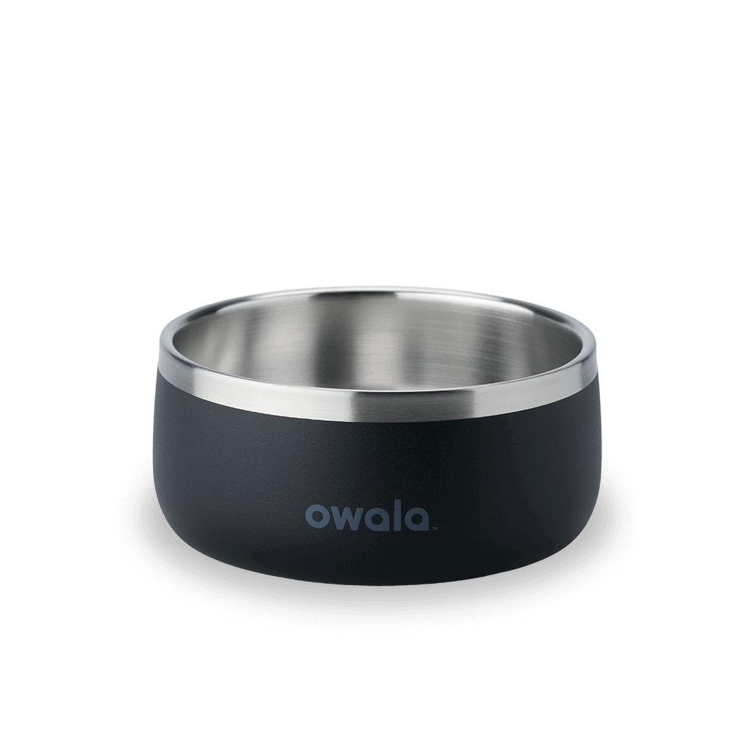 Pet Bowl [1M9Q]
