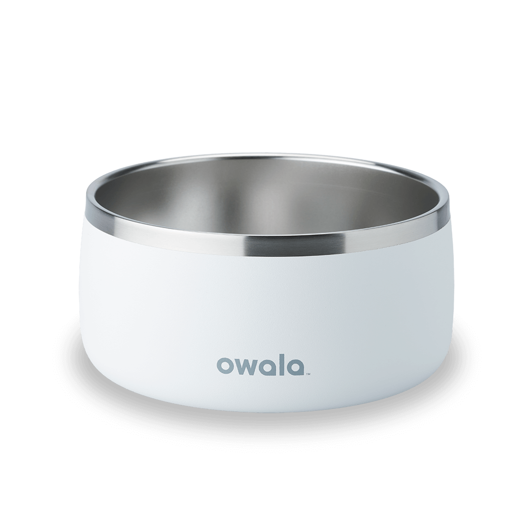 Pet Bowl [1M9Q]